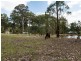 32 Bodalla Park Drive, Bodalla NSW 2545