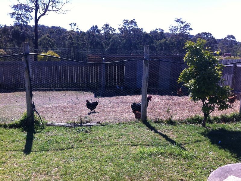 64 Western Boundary Rd, Moruya NSW 2537