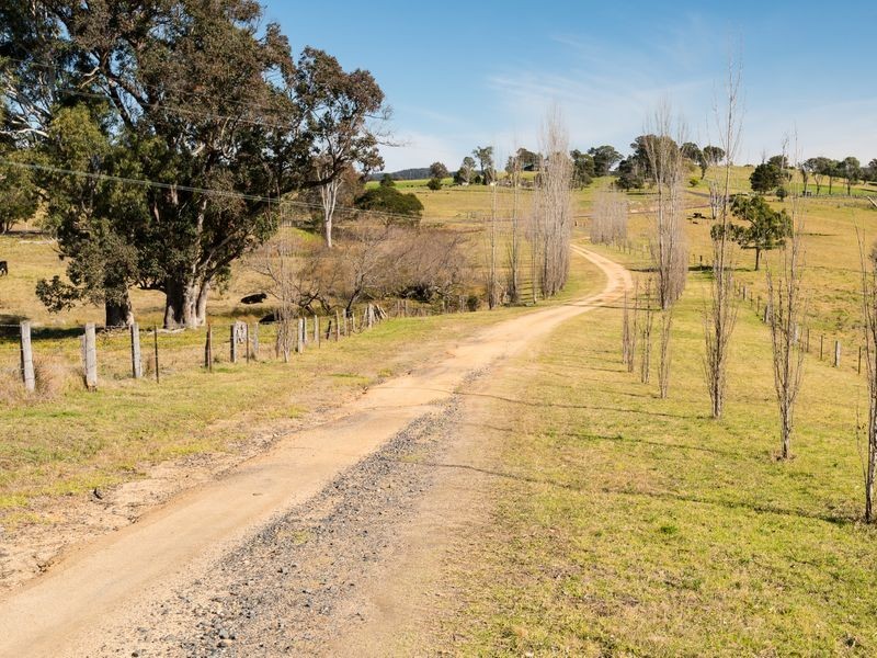 874 Cobargo/ Bermagui Road, Bermagui NSW 2546