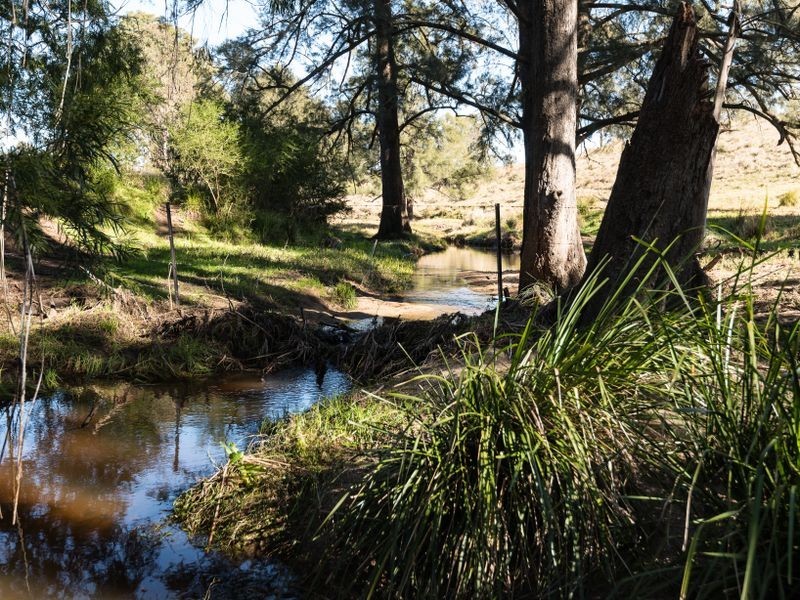 874 Cobargo/ Bermagui Road, Bermagui NSW 2546