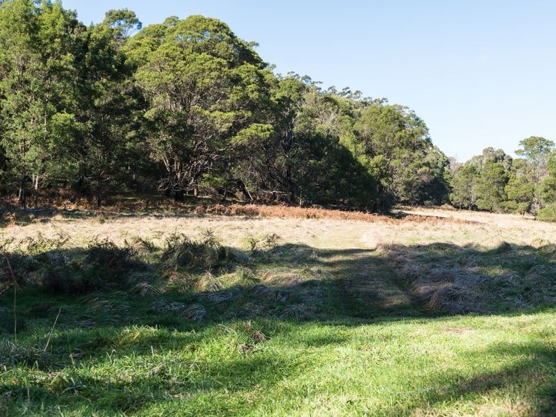 874 Cobargo/ Bermagui Road, Bermagui NSW 2546