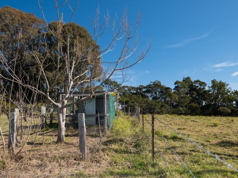874 Cobargo/ Bermagui Road, Bermagui NSW 2546