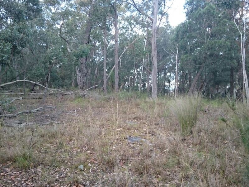 300b Pollwombra Road, Moruya NSW 2537