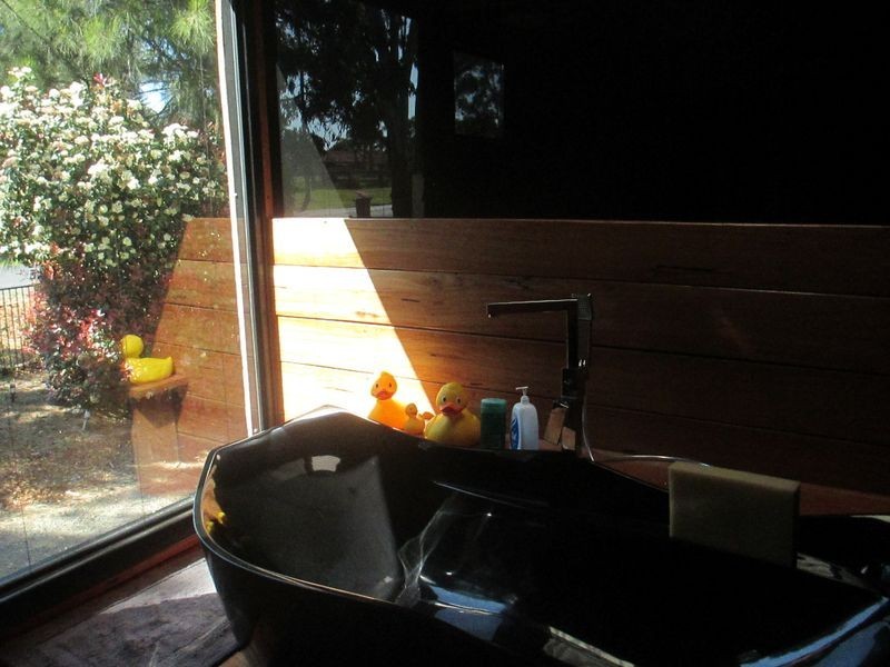 12 Dwyers Creek Road, Moruya NSW 2537