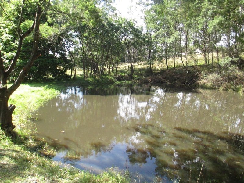 151 Dwyers Creek Road, Moruya NSW 2537