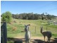2 Dwyers Creek Road, Moruya NSW 2537