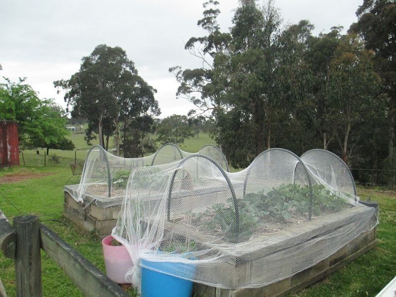 319 Dwyers Creek Road, Moruya NSW 2537