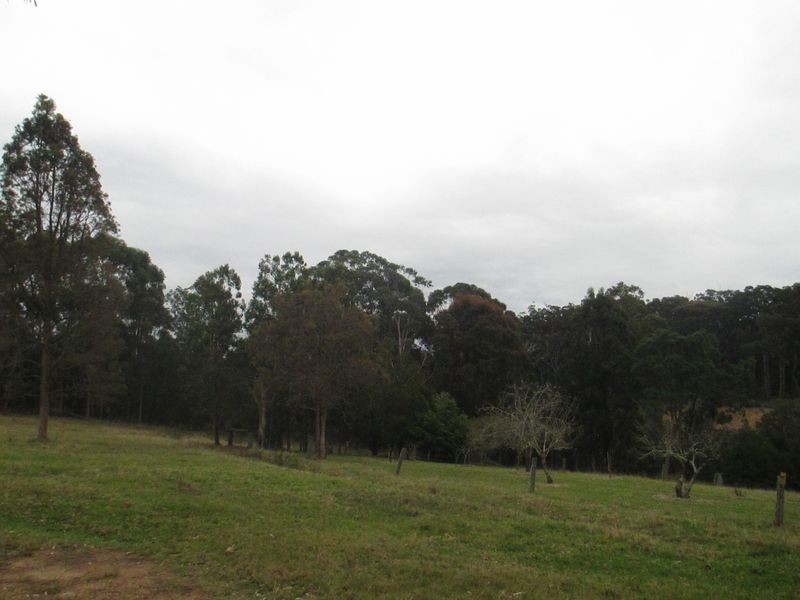 319 Dwyers Creek Road, Moruya NSW 2537