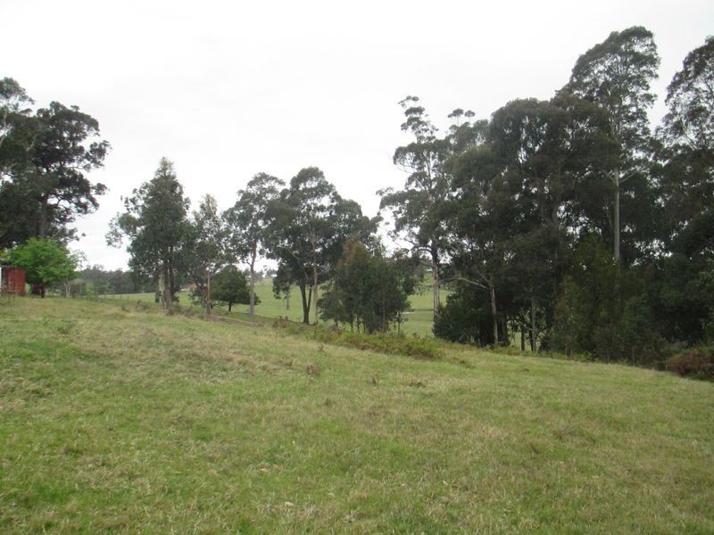 319 Dwyers Creek Road, Moruya NSW 2537