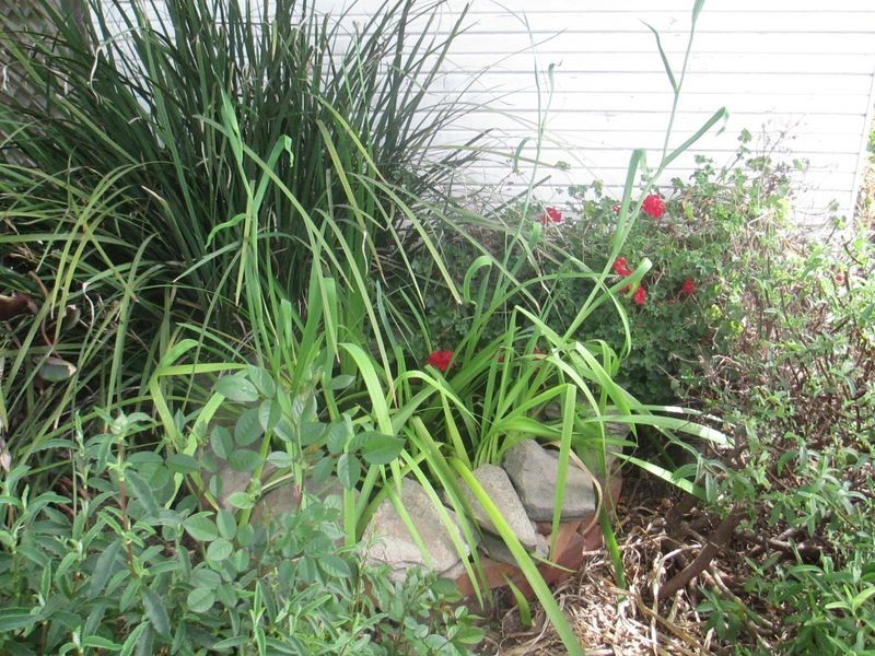 2779 Princes Highway, Moruya NSW 2537