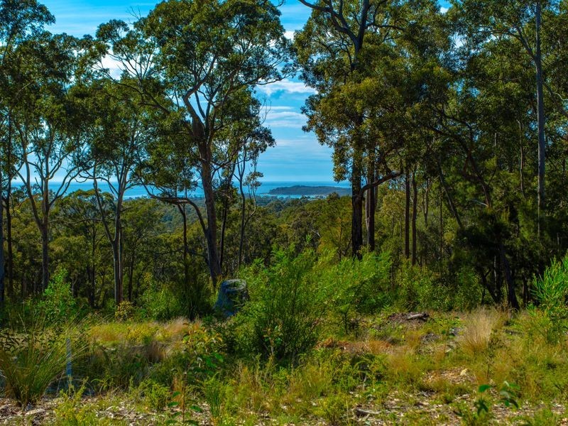 Lot 2 Phyllis Price Drive, Moruya NSW 2537