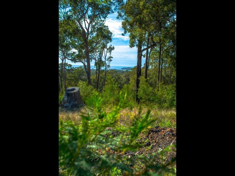 Lot 2 Phyllis Price Drive, Moruya NSW 2537