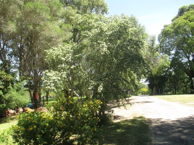 226 Francis Street, Moruya NSW 2537