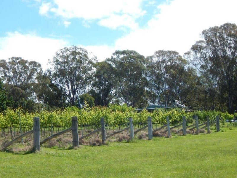 874 Cobargo Bermagui Road, Coolagolite NSW 2550