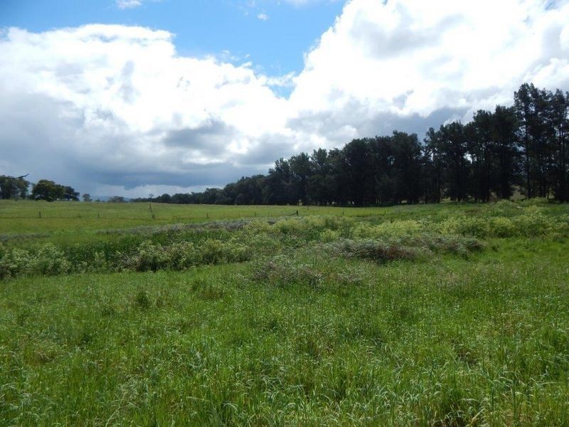 874 Cobargo Bermagui Road, Coolagolite NSW 2550