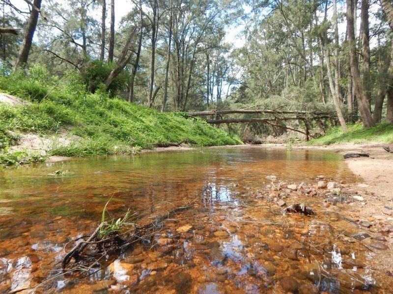 874 Cobargo Bermagui Road, Coolagolite NSW 2550