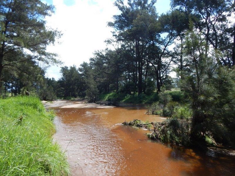 874 Cobargo Bermagui Road, Coolagolite NSW 2550