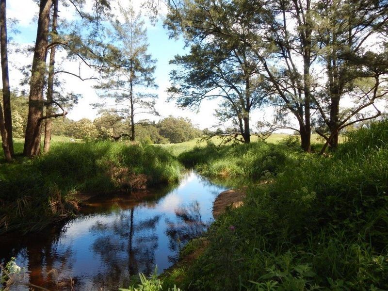 874 Cobargo Bermagui Road, Coolagolite NSW 2550