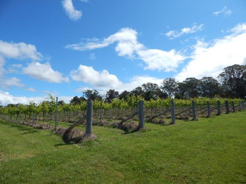 874 Cobargo Bermagui Road, Coolagolite NSW 2550