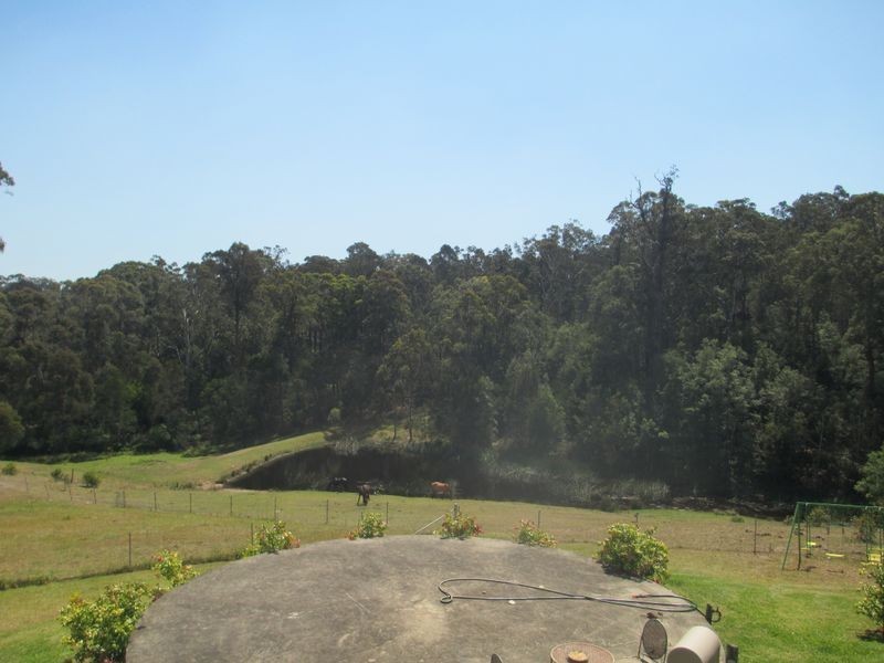 73 Wamban Road, Moruya NSW 2537