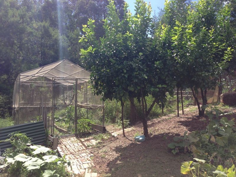 422 Wamban Road, Moruya NSW 2537