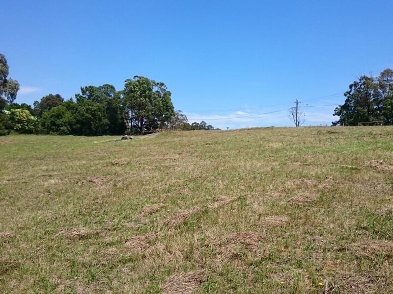 Lot 1/207 Araluen Road, Moruya NSW 2537