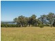 Lot 7 Coila View Lane, Bingie NSW 2537