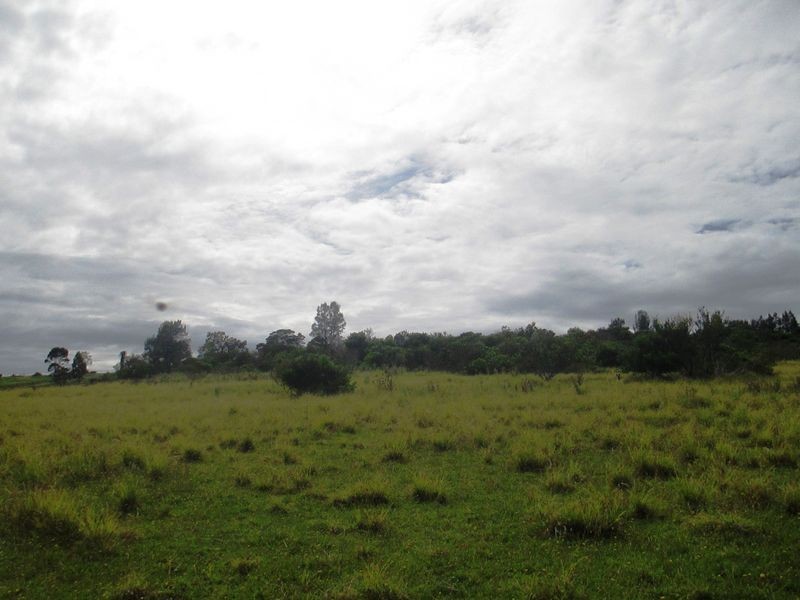 Lot 185 15 Priory Lane, Bingie NSW 2537