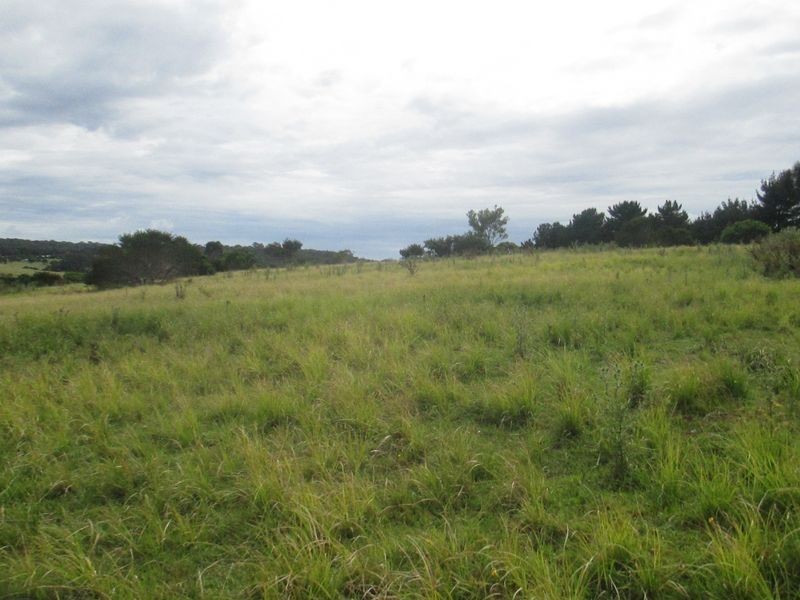 Lot 185 15 Priory Lane, Bingie NSW 2537