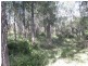 Lot 464 Maulbrooks Road, Mogo NSW 2536