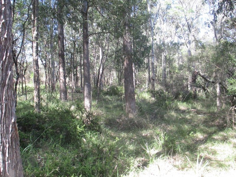 Lot 464 Maulbrooks Road, Mogo NSW 2536