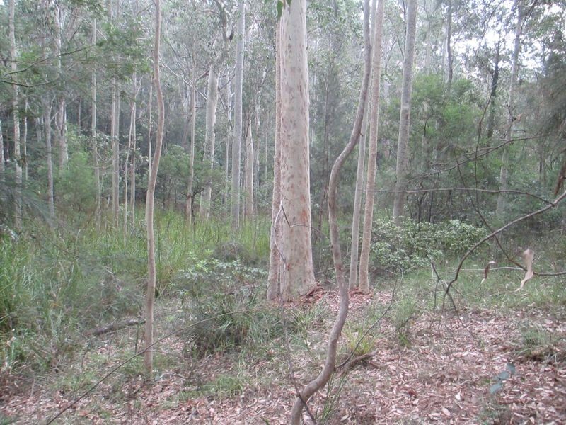 Lot 15 South Head Road, Moruya Heads NSW 2537