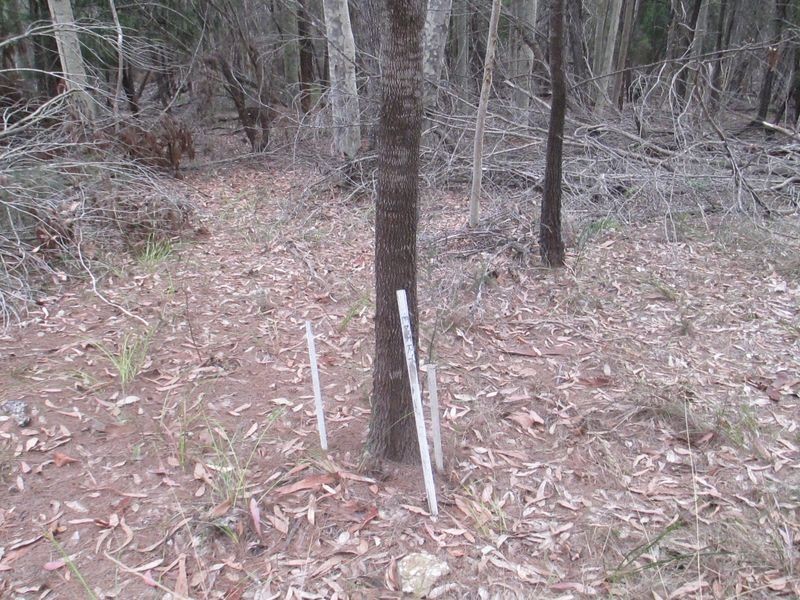 Lot 15 South Head Road, Moruya Heads NSW 2537