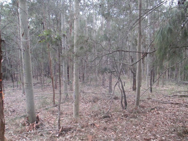 Lot 15 South Head Road, Moruya Heads NSW 2537