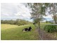 36 Eurobodalla Road, Bodalla NSW 2545