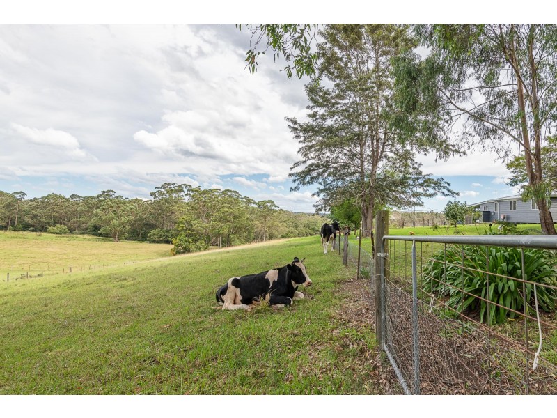 36 Eurobodalla Road, Bodalla NSW 2545