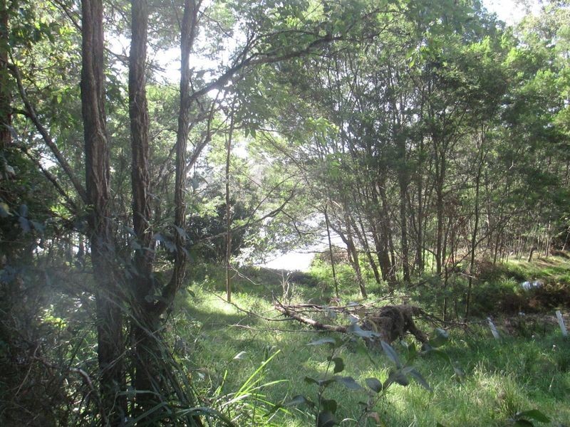 2D Hazel Road, Moruya Heads NSW 2537