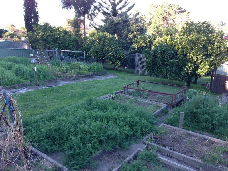 16 Gundary St, Moruya NSW 2537