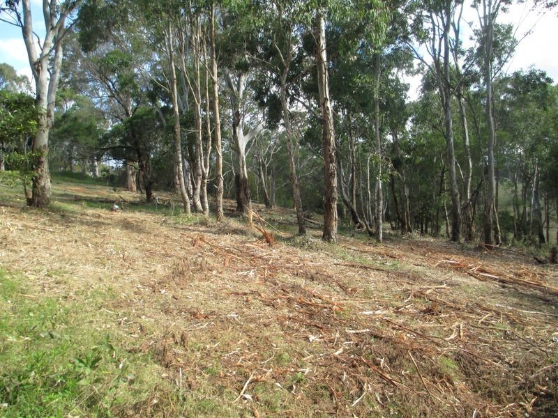 42 Albert Street, Moruya NSW 2537