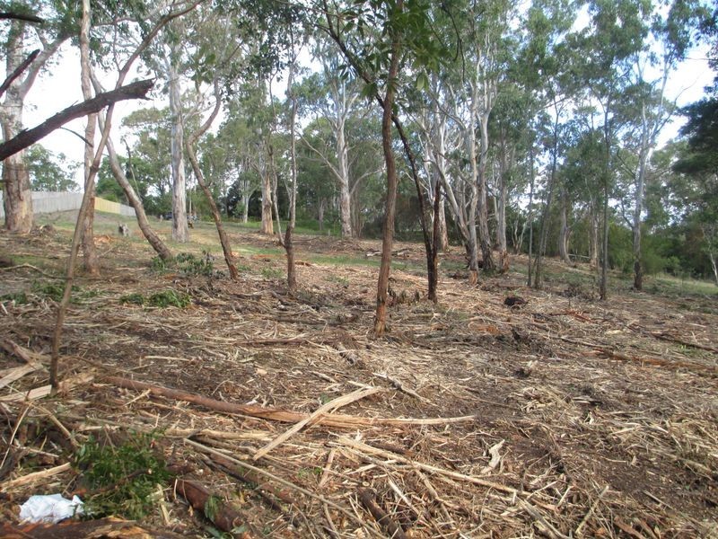 42 Albert Street, Moruya NSW 2537