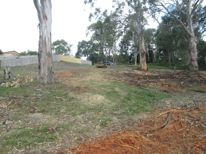 42 Albert Street, Moruya NSW 2537