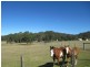 523 Larrys Mountain Road, Moruya NSW 2537