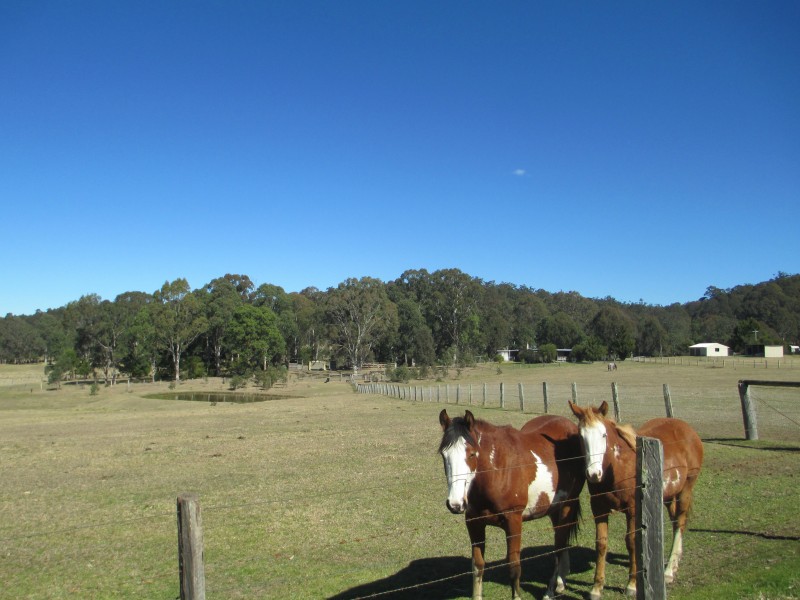 523 Larrys Mountain Road, Moruya NSW 2537