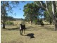 523 Larrys Mountain Road, Moruya NSW 2537