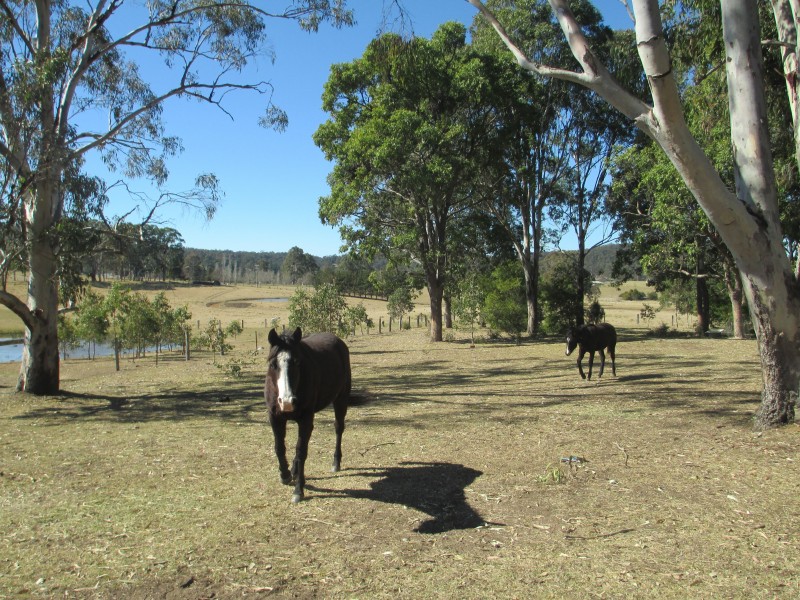 523 Larrys Mountain Road, Moruya NSW 2537
