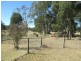 523 Larrys Mountain Road, Moruya NSW 2537
