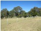 523 Larrys Mountain Road, Moruya NSW 2537