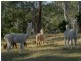 82 Summerhill Road, Moruya NSW 2537