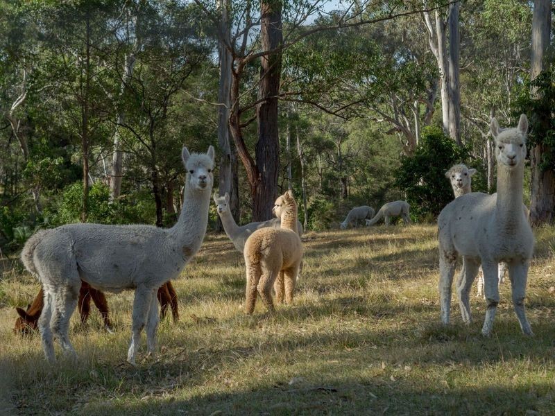 82 Summerhill Road, Moruya NSW 2537