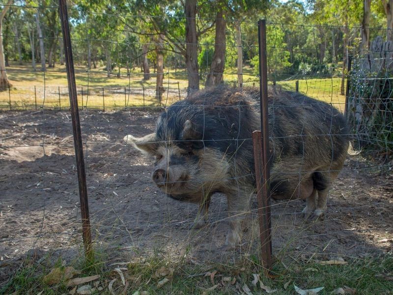 82 Summerhill Road, Moruya NSW 2537